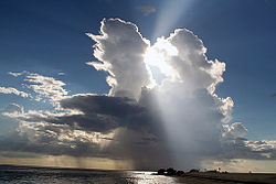 Cumulonimbus calvus.