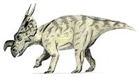 Illustration av Einiosaurus.