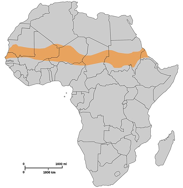 Fil:Map sahel.jpg