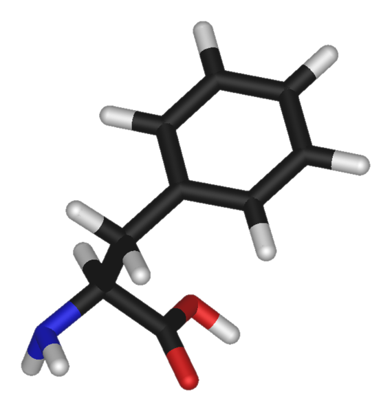 Fil:L-phenylalanine-3D-sticks.png
