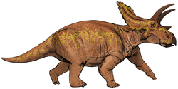 Levnadsrekonstruktion av Anchiceratops utförd av M R Villarreal.