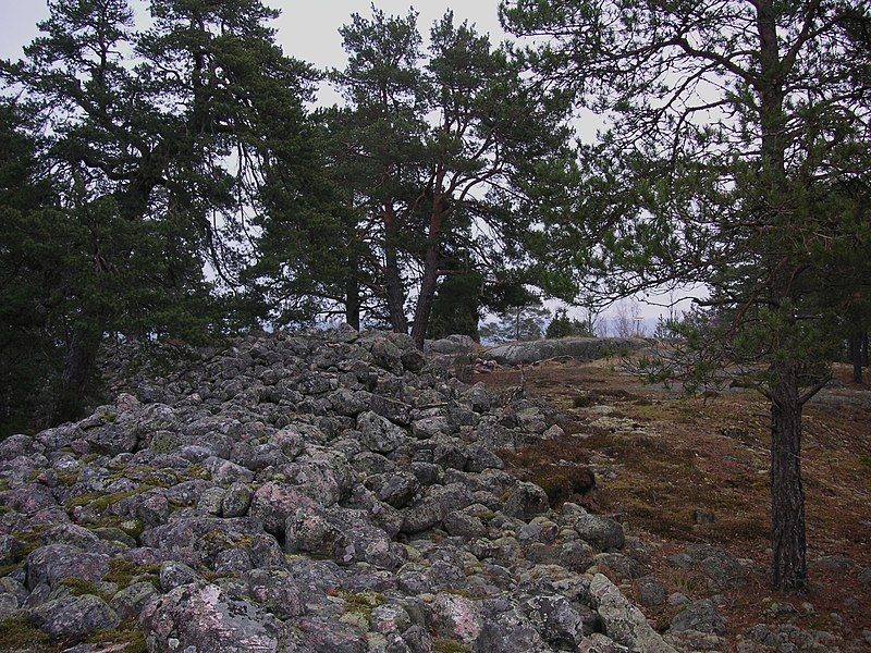 Fil:Skansberget 2008b.JPG