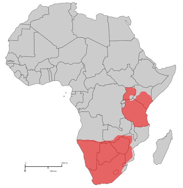 Fil:Steenbok distribution.svg