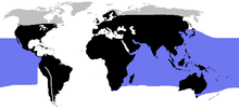 Ormarnas utbredningsområde på jorden, svart – landlevande arter, blå – havslevande arter