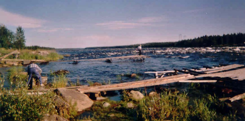 Fil:Kukkolaforsen, juli 2004..jpg
