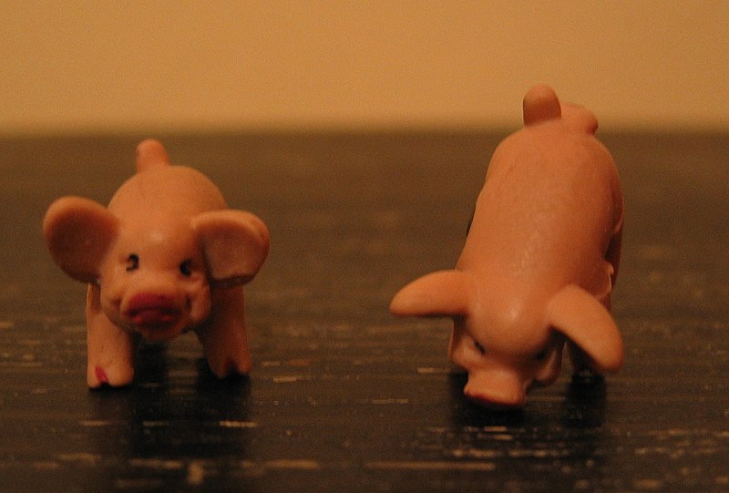 Fil:Pass pigs dice.jpg