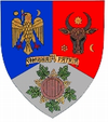 Coat of Arms of Vrancea county