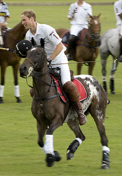Fil:Prince William at a Polo match 2007.jpg