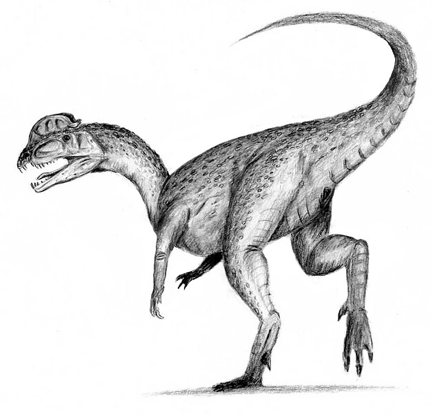 Fil:Dilophosaurus.jpg