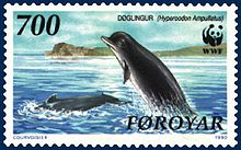 Nordlig näbbval på ett frimärke från Färöarna