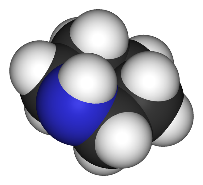 Fil:Piperidine-3D-vdW.png