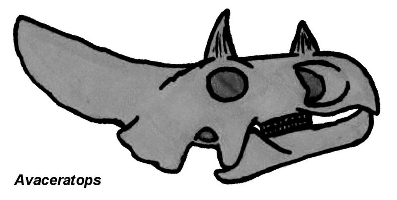 Fil:Avaceratops 05895.JPG