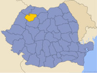 Administrativ karta över Rumänien med distriktet Sălaj utsatt