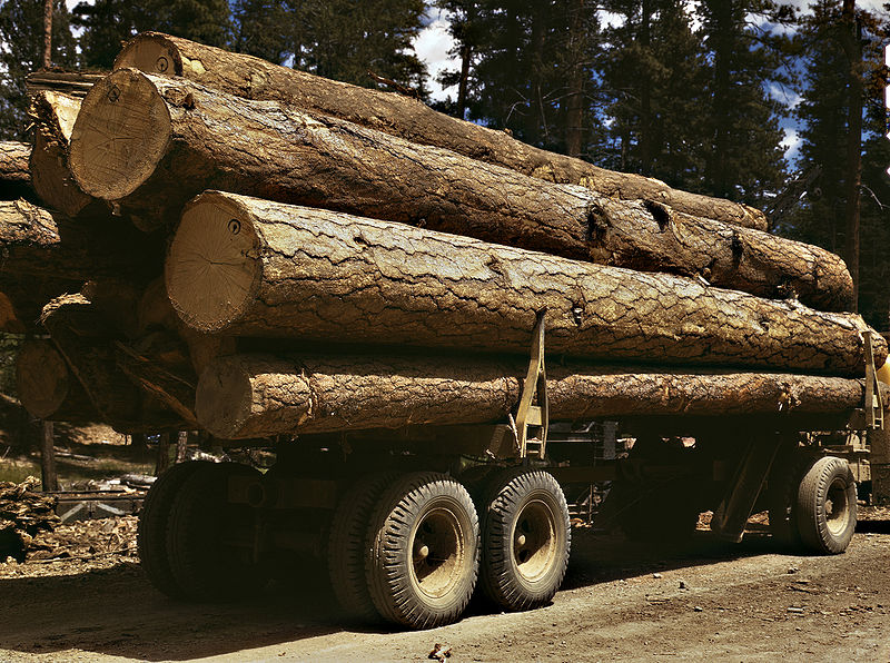 Fil:Truck load of ponderosa pine, Edward Hines Lumber Co, operations in Malheur National Forest, Grant County, Oregon, July 1942.jpg