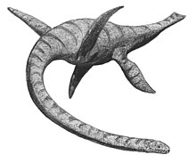 Plesiosaurus ritad av Adam Stuart Smith