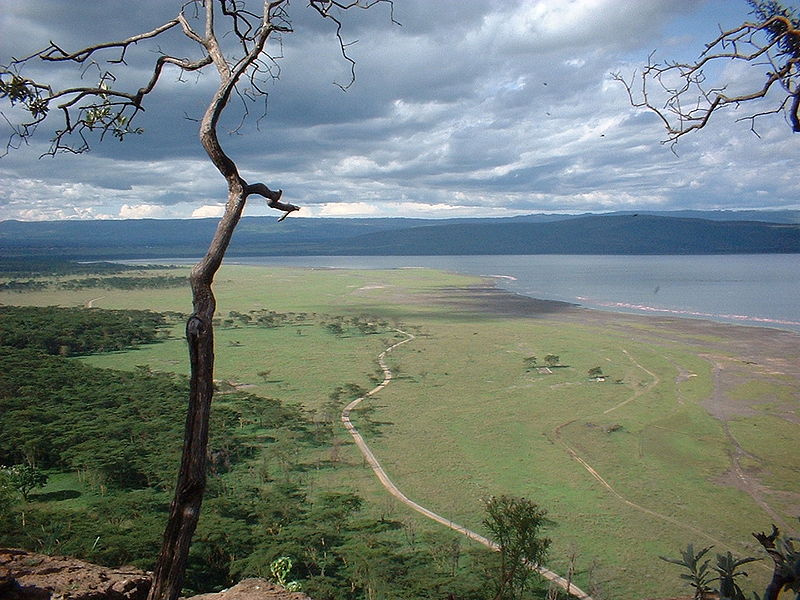 Fil:Overview lakenakuru.jpg