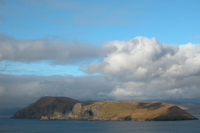 Fil:Hestur, Faroe Islands.JPG