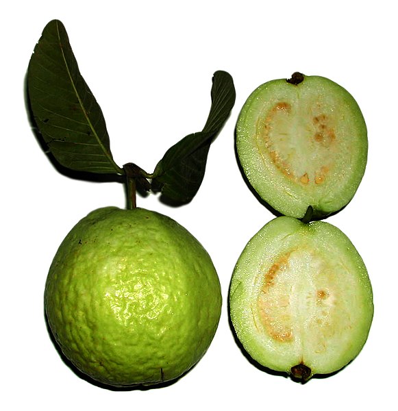 Fil:Psidium guajava fruit.jpg