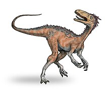 Hur Huaxiagnathus kan ha sett ut.