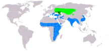 ljusgrönt:häckningsområdeblått:vinterkvartermörkgrönt:året runt