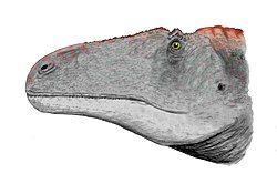 Illustration av Acrocanthosaurus.
