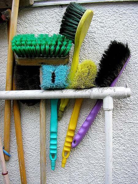 Fil:Cleaning brushes.jpg