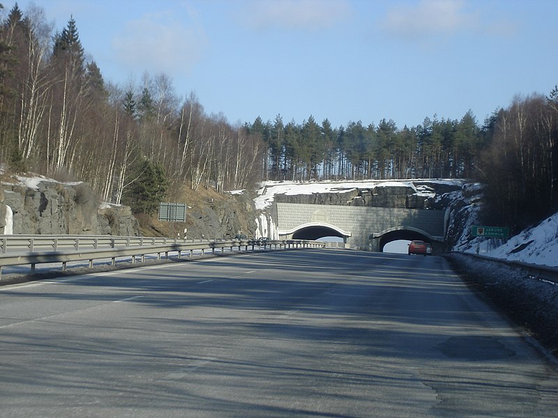 Fil:E20 tunnel west Sweden.jpg