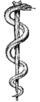 Rod of asclepius.png