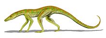 Terrestrisuchus, en tidig krokodil