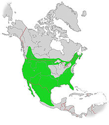 Rödlons utsträckning är begränsad till Nordamerika.