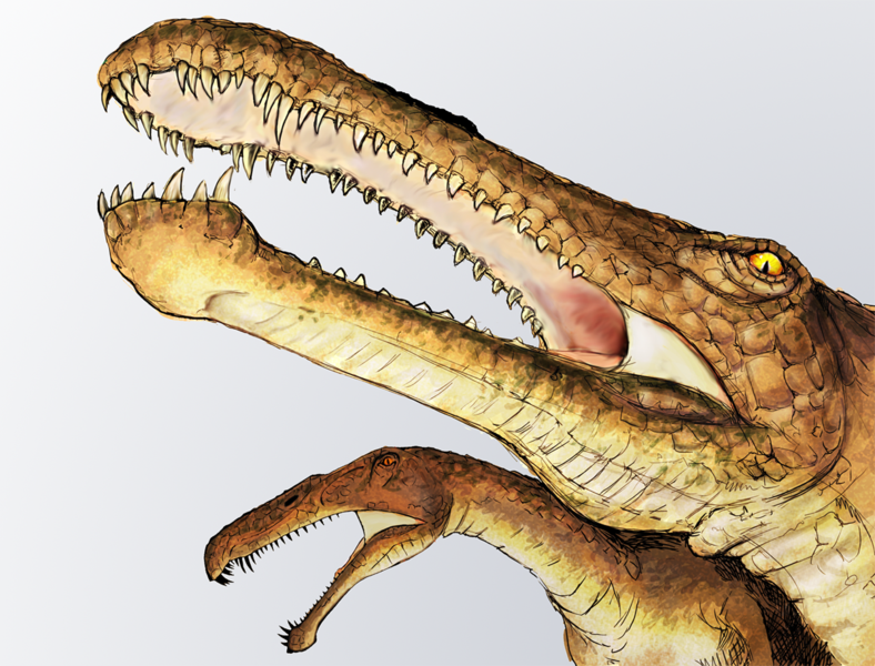 Fil:Irritator dinosaur.png