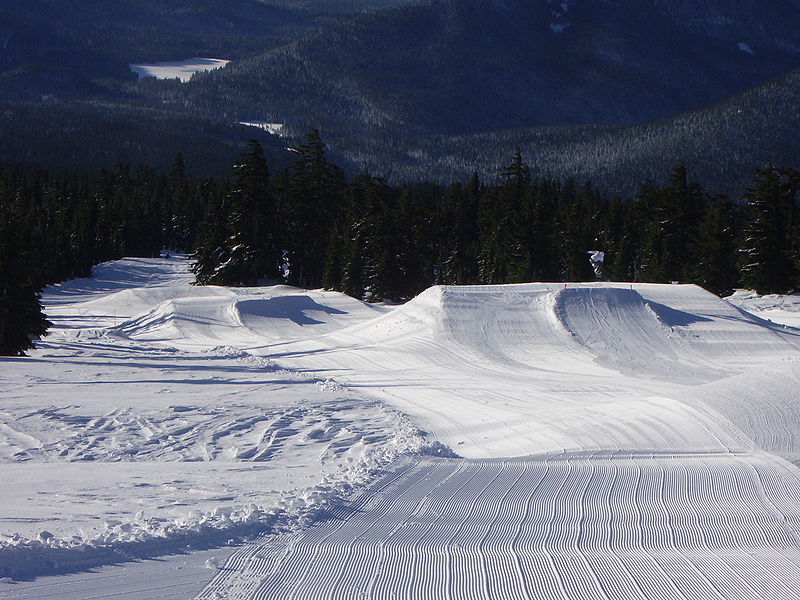 Fil:Wintersports terrain park P1391.jpeg