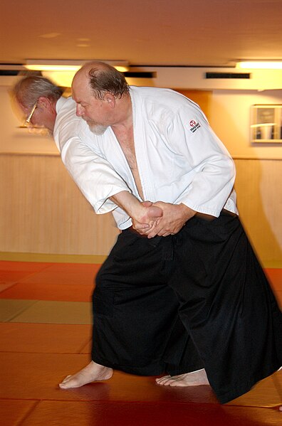 Fil:Jan hermansson.aikido.b8dn3996365.jpg
