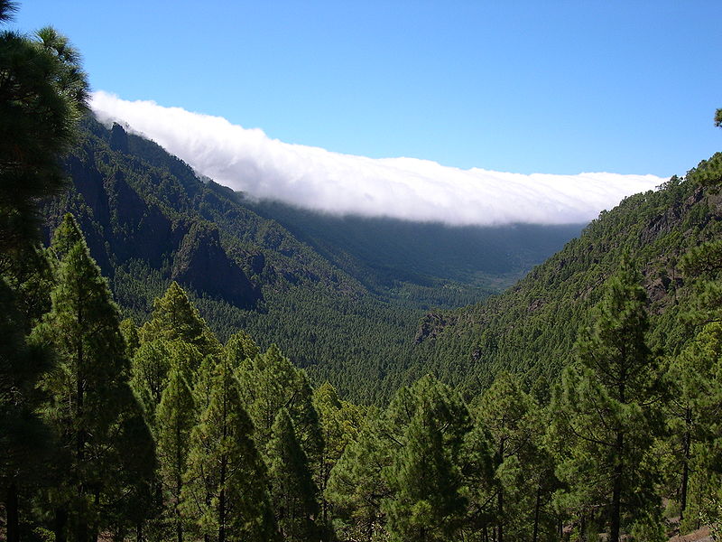 Fil:Caldera de Taburiente La Palma.jpg