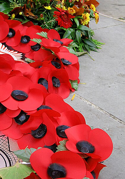 Fil:RemembrancePoppies.jpg