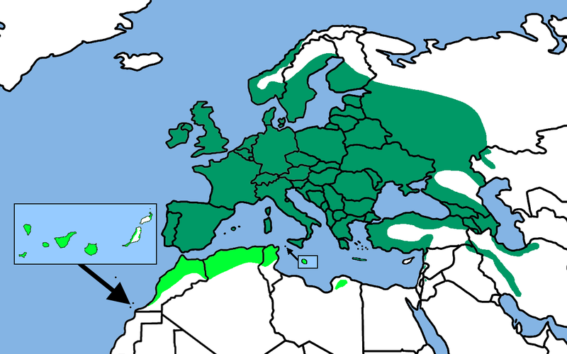 Fil:CyanistesCaeruleusDistribution.png