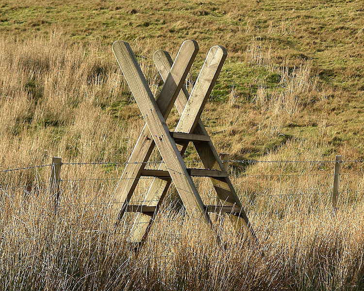 Fil:Ladder stile Snowdonia.jpg