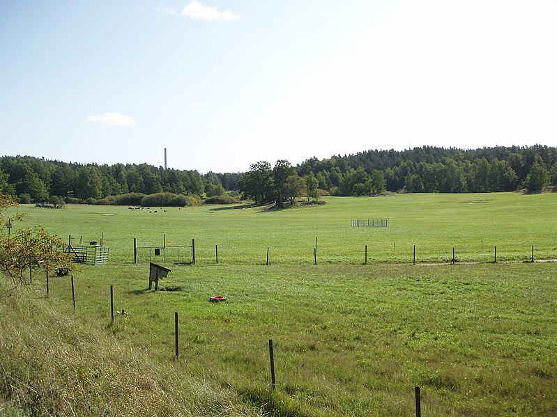 Fil:Långängens ängar 2008.jpg