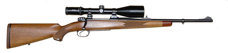 Fil:Modern Hunting Rifle.jpg