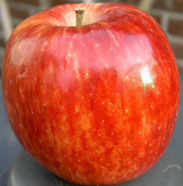 Fil:Apple red delicius stalk.jpg