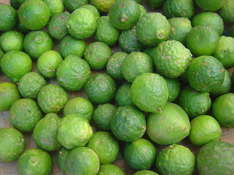 Fil:Citrus hystrix dsc07772.jpg