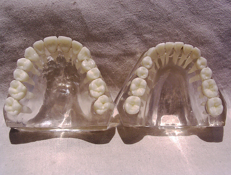 Fil:Teeth model.jpg