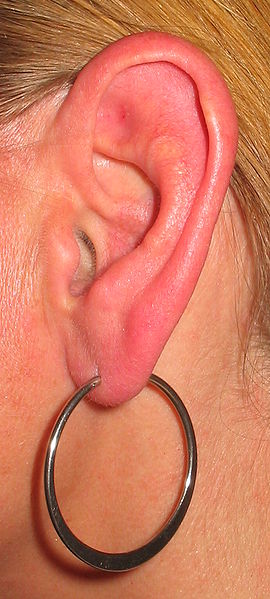 Fil:Ear with earring.jpg