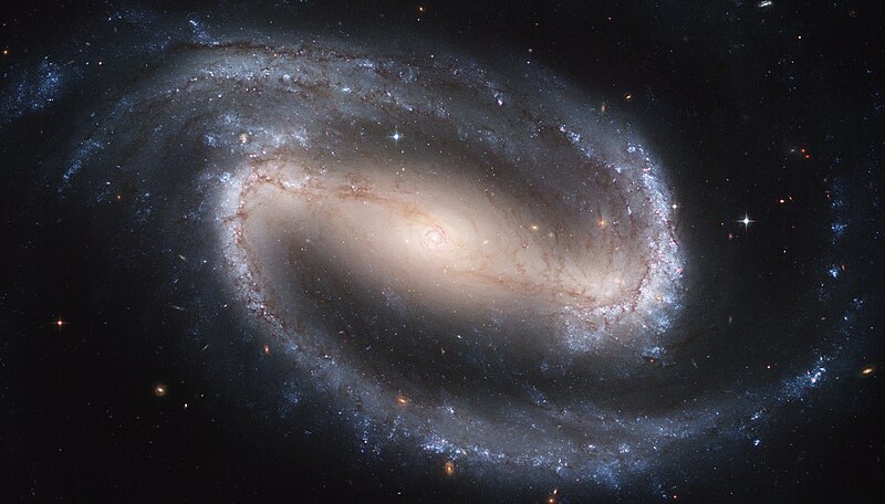 Fil:Hubble2005-01-barred-spiral-galaxy-NGC1300.jpg