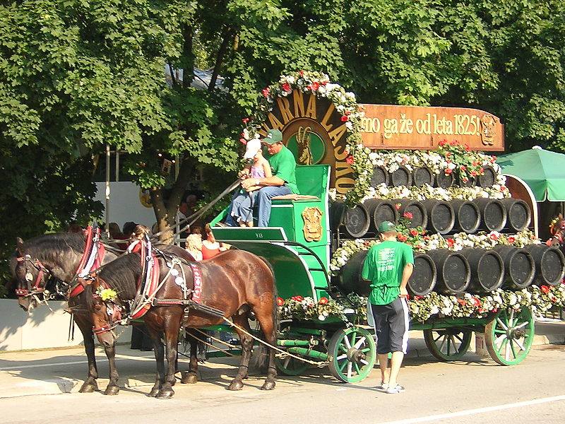 Fil:Pivo in cvetje.jpg