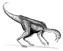 Teckning av Dromiceiomimus.