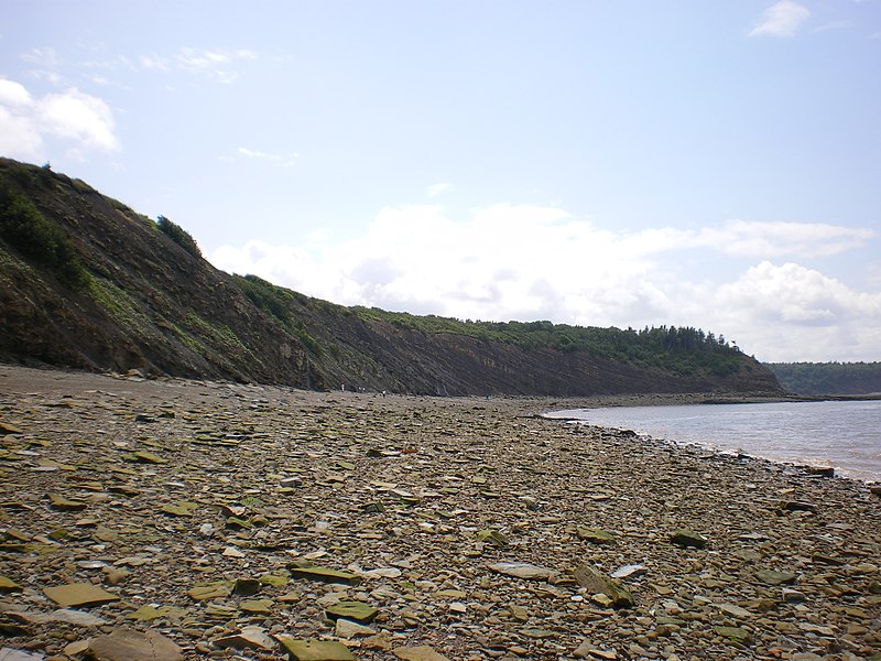 Fil:Joggins Fossil Cliffs.jpg