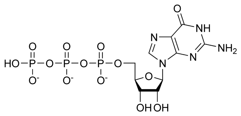 Fil:GTP chemical structure.png