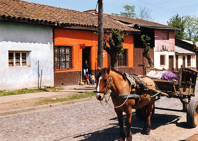 Fil:Molina Chile - outskirts with horse and trap1.jpg