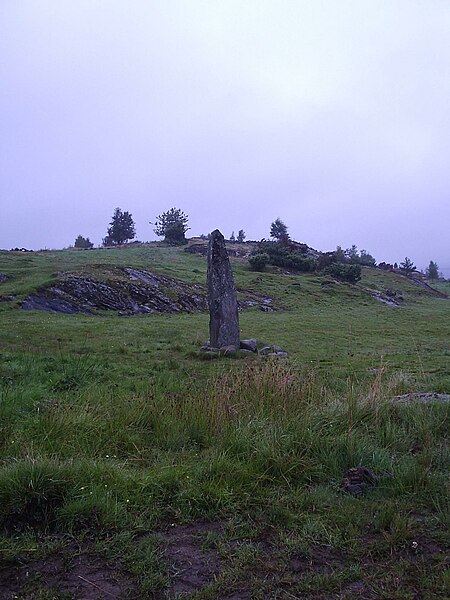 Fil:Runstenen vid Hoga på Orust, sedd från platsen för äldre fägata, den 2 september 2005..JPG